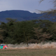 Ford driver Jeremy Wahome and co-driver Victor Okundi in action.